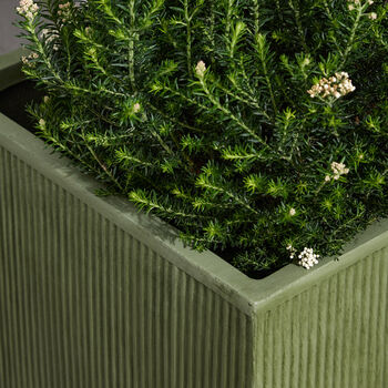 Agri Green Ribbed Planter, 7 of 9