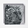 Leopard Blank Greeting Card Safari Cards, thumbnail 3 of 7