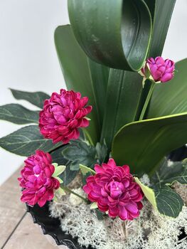 Large Pink Phalenopsis Orchid In Silver Fluted Bowl, 3 of 9