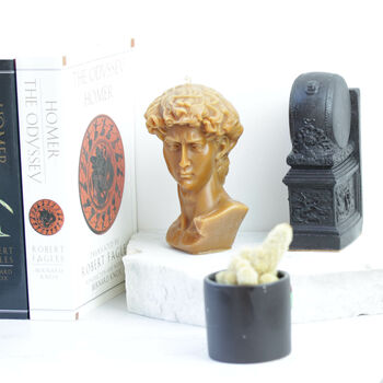 Large Bust Of David In Eco Wax, 6 of 8
