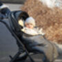 Baby Merino Sheepskin Footmuff, thumbnail 11 of 12