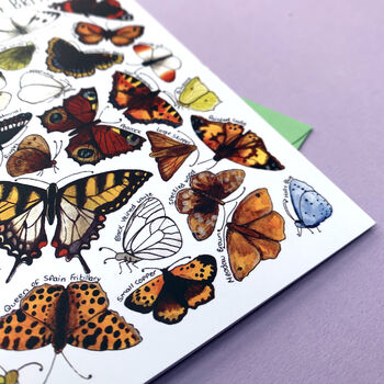 Butterflies Of Britain Art Blank Greeting Card, 10 of 10