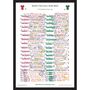 South Africa V British Lions 2nd Test 1997. Rugby Commentary Sheet, thumbnail 1 of 7