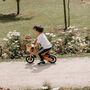 Kinderfeets Two In One Tiny Tot Tricycle And Bike, thumbnail 5 of 8