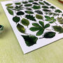 Leaves Of Britain Illustrated Postcard, thumbnail 5 of 9