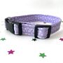 Lilac Star Dog Collar For Girl Or Boy Dogs, thumbnail 2 of 2