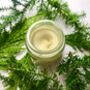 Forest Noir Solid Botanical Perfume, thumbnail 2 of 4