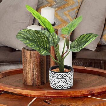 Pack Of Two Artificial Plants In Ceramic Pot, 5 of 8