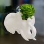 Elephant Wall Hanging Planter With Choice Of Plant, thumbnail 1 of 5