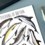 Dolphins Of Britain Watercolour Postcard, thumbnail 12 of 12