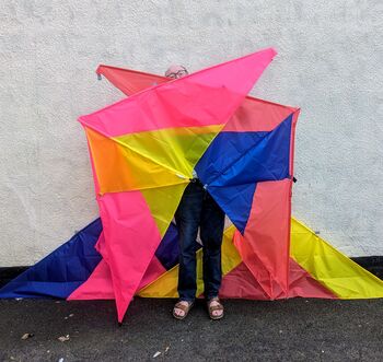 Giant Delta Kite, 11 of 11