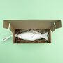 Fish Soap On A Rope, thumbnail 2 of 6