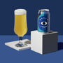 Lust For Life Ipa Alcohol Free Craft Beer Case, thumbnail 1 of 2