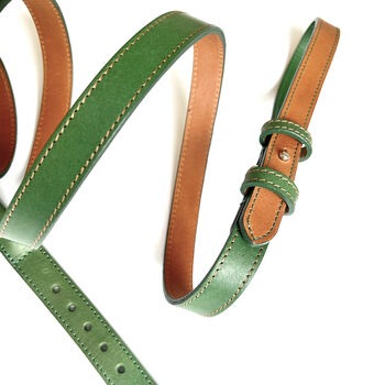 Green Collar And Lead Set, 4 of 5