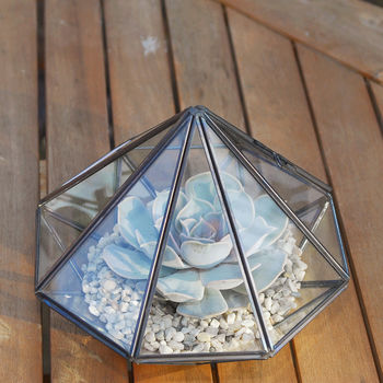 Large Diamond Glass Succulent Terrarium, 2 of 8