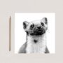 Pine Marten Wildlife Greeting Card, thumbnail 3 of 6