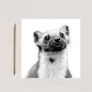 Pine Marten Wildlife Greeting Card, 3 of 6
