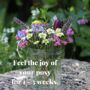 'The Botanical' Mini Posy Fresh Flower Subscription, thumbnail 4 of 8