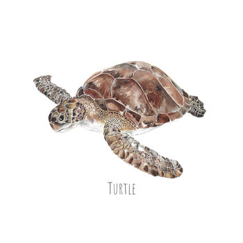 Sea Turtle Personalised Watercolour Print, 3 of 4