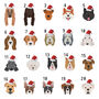 Personalised Dog Breed Tree Topper, thumbnail 3 of 11