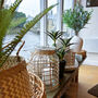 Large Bamboo And Glass Hanging Candle Lantern, thumbnail 3 of 7