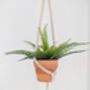 Macrame Gift Bundle, thumbnail 3 of 11
