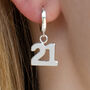 Sterling Silver 21 Charm Earrings, thumbnail 2 of 6