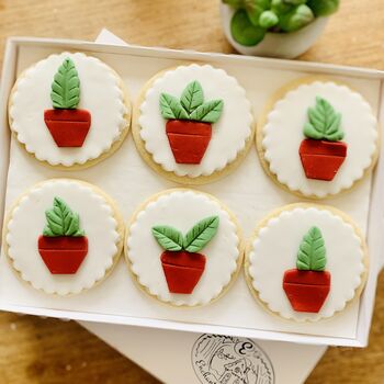 House Plant Biscuit Letterbox Gift Set, 2 of 8