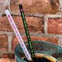 Truth Or Dare Straws 8mm X 200mm Box Of 20 Paper Straws, thumbnail 3 of 5