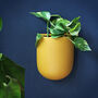 Ceramic Yellow Wall Planter, thumbnail 1 of 4