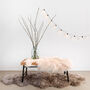 Luxury Rarebreed Tibetan Sheepskin Rug In Baby Pink, thumbnail 2 of 4