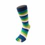 Essential Everyday Mid Calf Stripy Cotton Toe Socks, thumbnail 1 of 8