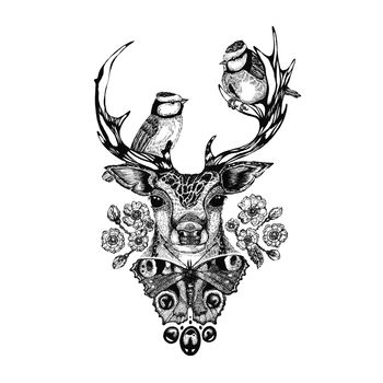 'The Roe Deer' Fine Art Print, 4 of 7