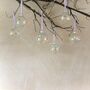 Set Of Six Pastel Rainbow Effect Baubles Bright Christmas Decor, thumbnail 1 of 7