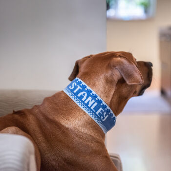 Personalised Knitted Dog Collar, 2 of 4