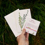 Teim Welsh Greeting Card With Thyme Seeds, thumbnail 4 of 5