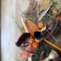 Dried Forest Wreath With Mushrooms And Moss, thumbnail 2 of 5