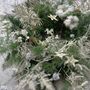 Everlasting Dried Flower Christmas Wreath, thumbnail 8 of 10