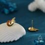 Nautilus Shell Stud Earrings In Sterling Silver, thumbnail 2 of 12