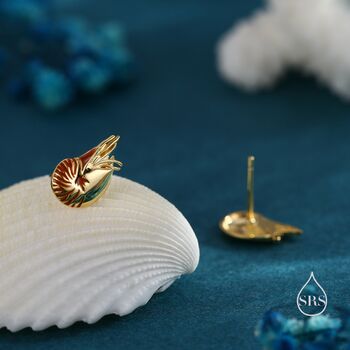 Nautilus Shell Stud Earrings In Sterling Silver, 2 of 12