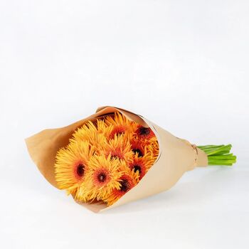 Yellow Spider Gerbera Fresh Flower Bouquet, 3 of 3