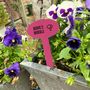 Personalised Vegetable Garden Sign, thumbnail 2 of 6