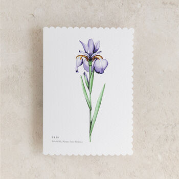 Iris Floral Watercolour Greetings Card, 2 of 2