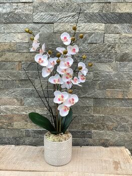 White Mini Artificial Silk Orchid Flower Arrangement Mothers Day Gift, 5 of 6
