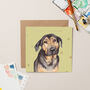 Streetvet Saba Charity Christmas Card With Gold Foil, thumbnail 1 of 3