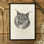 I Is For Iberian Lynx Illustration Print, thumbnail 1 of 6