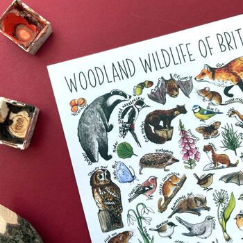 Woodland Wildlife Of Britain Watercolour Postcard, 10 of 12