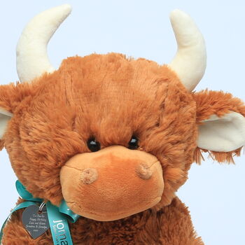 Scottish Brown Highland Cow With Coo Cuddle Keyring, 3 of 5