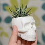 Ceramic Skull Vase Succulent Terrarium, thumbnail 1 of 2