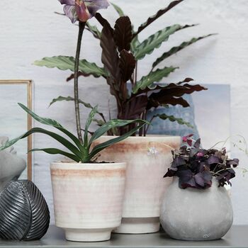 Asina Plant Pot In Blush Pink, 4 of 5